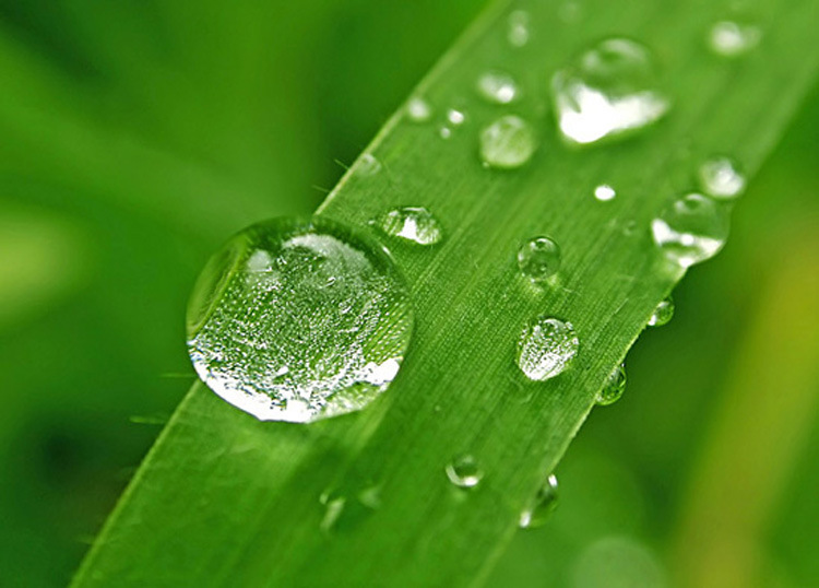 水中的重金屬，凈水器如何過濾